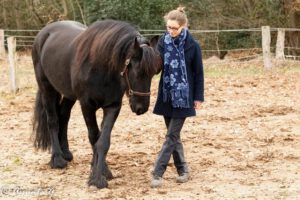 16523454_10212019777638844_1359851925_o