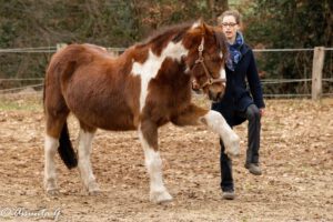 16523534_10212019866161057_993854226_o