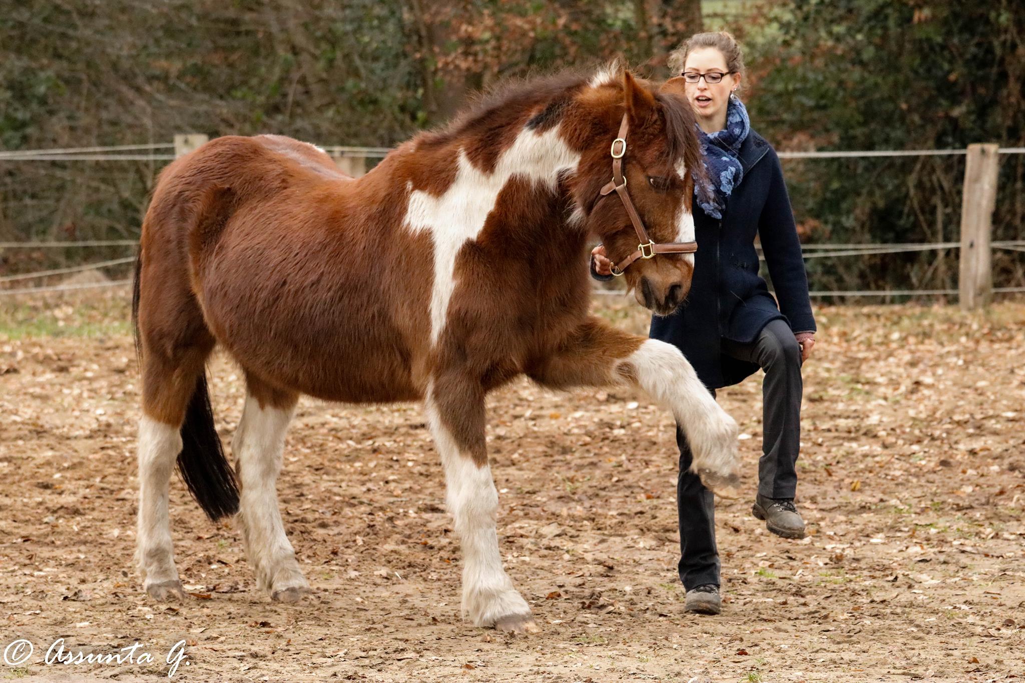 16523534_10212019866161057_993854226_o