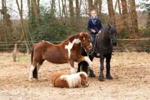 16523637_10212019851680695_234941847_o