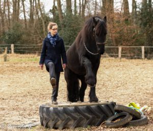 16523687_10212019818439864_1691535179_o