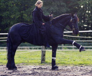 Branco-und-ich-span-Gruss1