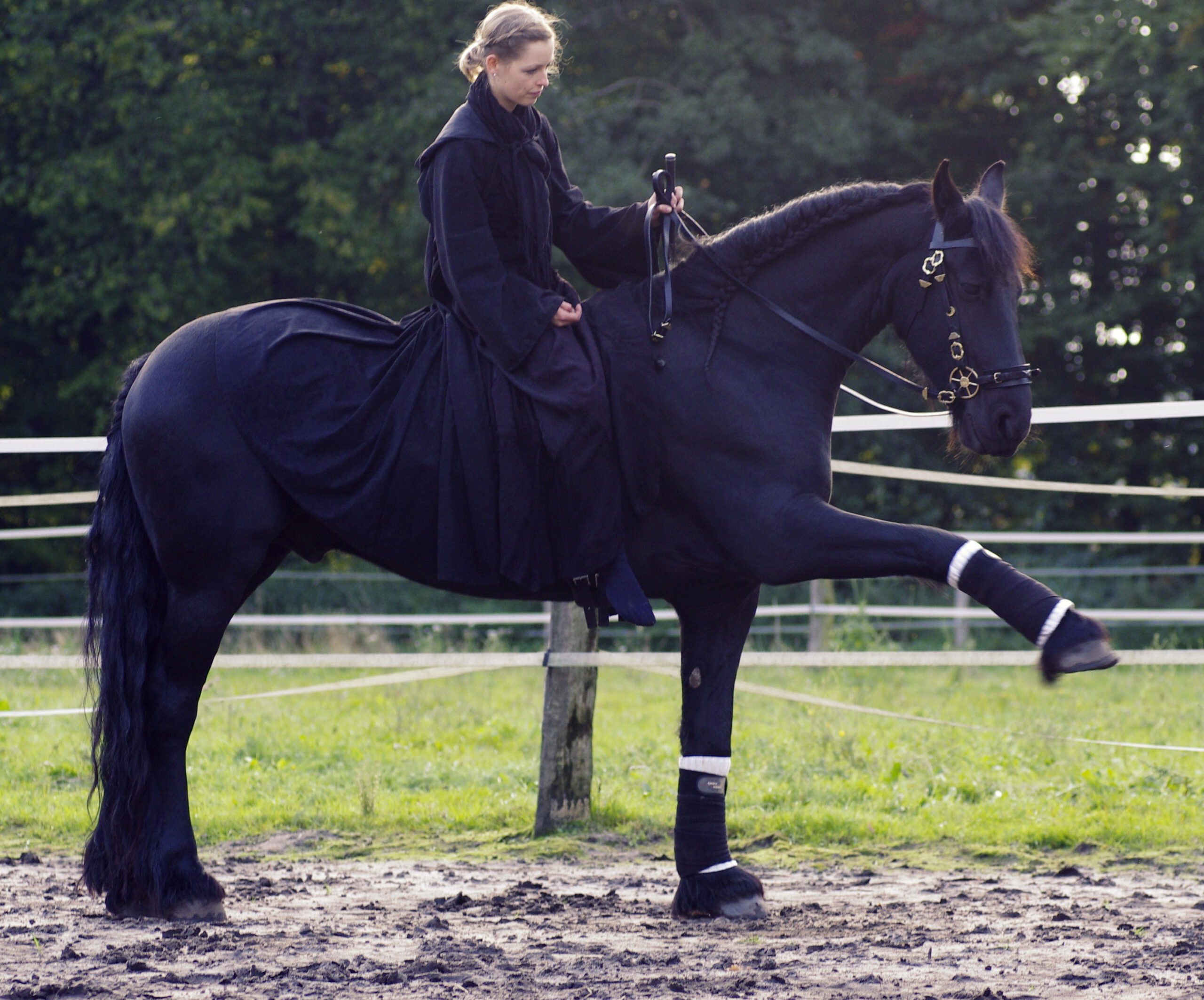 Branco-und-ich-span-Gruss1