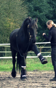 Branco und ich span Gruß2