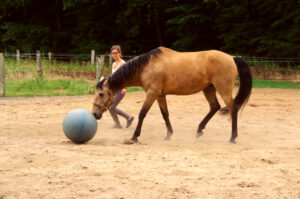 Xeique Ball spielen1